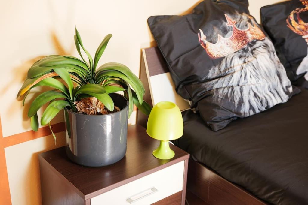 - 3-Bedroom Apartment Luxury: Central & Spacious In Duisburg & Big Tv And Kitchen - Exterior foto